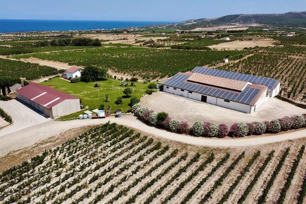 Cantina Nuraghe Crabioni